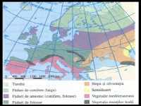 Harta Tipurilor de Vegetatie - Europa