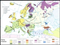 Harta Lingvistica - Europa