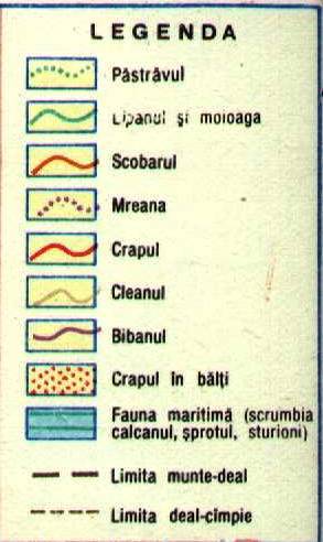 legenda-fauna-piscicola-a-romaniei