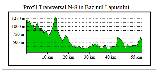 Profilul transversal N-S din Bazinul Lapusului 