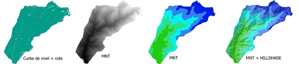 arcmap topo to raster